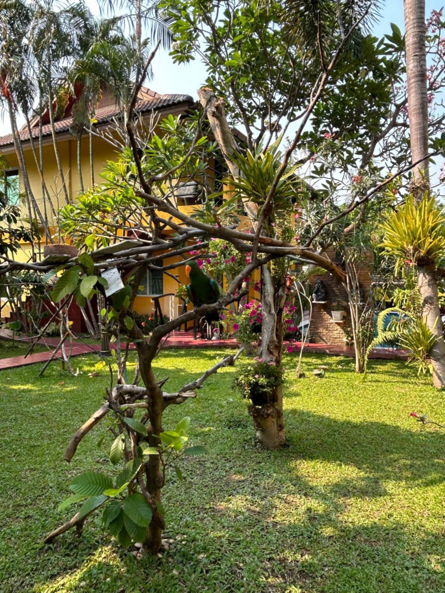Lamduan Boutique Homestay Chiang Mai Eksteriør bilde